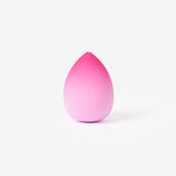BLENDER SPONGE FOR FOUNDATION GRADIENT W CASE