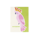 Pembe Papağan Desenli Defter