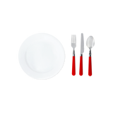 PICNIC SET W PLATES AND CUTLERY FOR 2 PERS BERRY PRINT