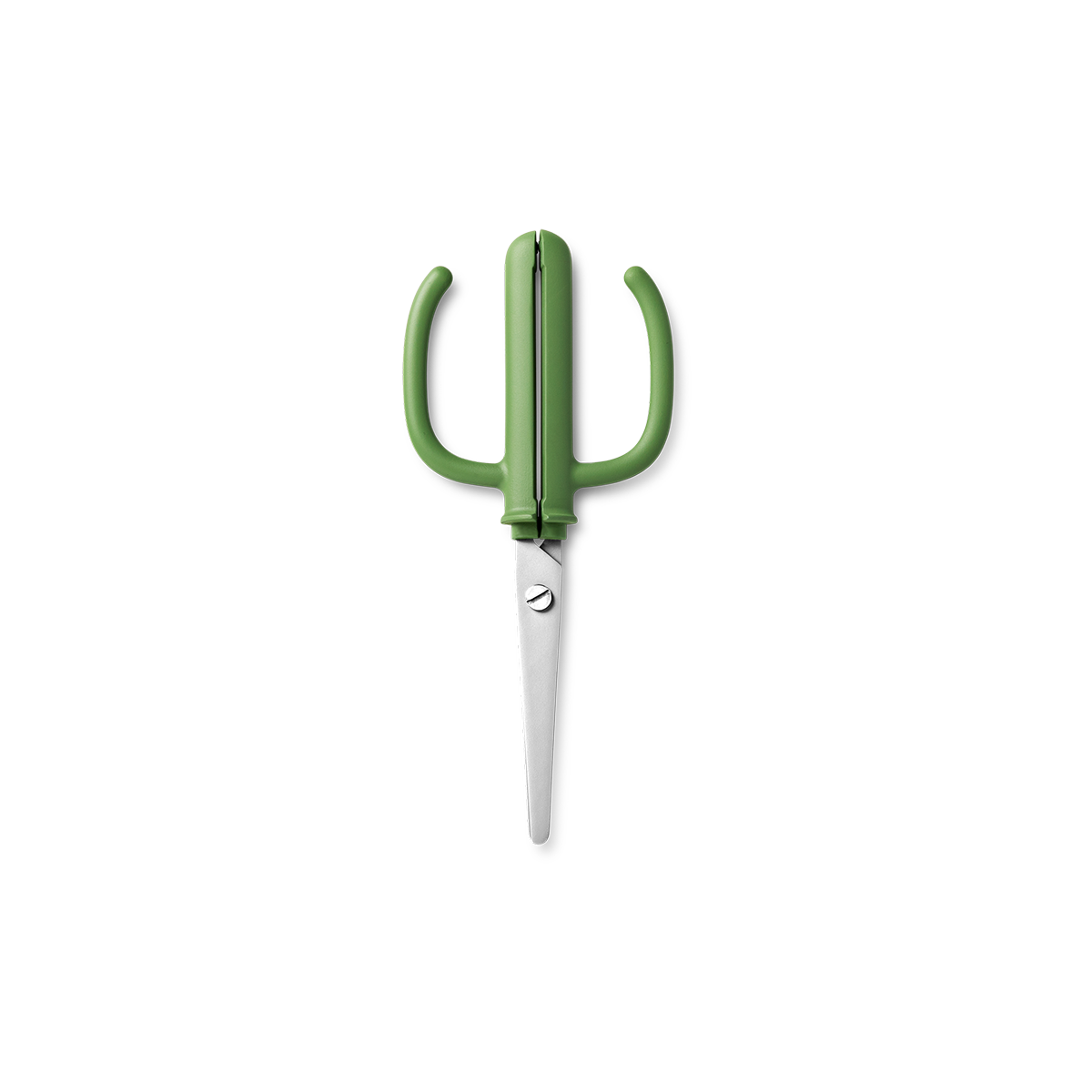 SCISSOR CACTUS