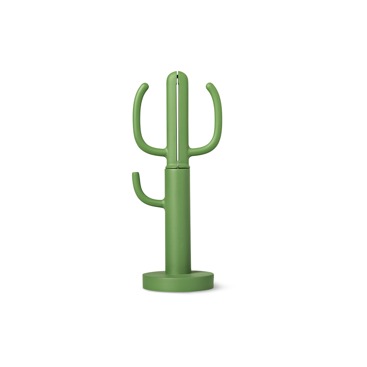 SCISSOR CACTUS