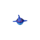 WATER TOY SHARK