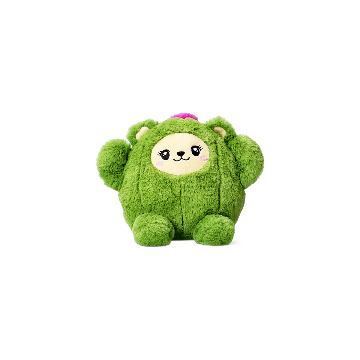 TEDDY BEAR DRESSED AS CACTUS