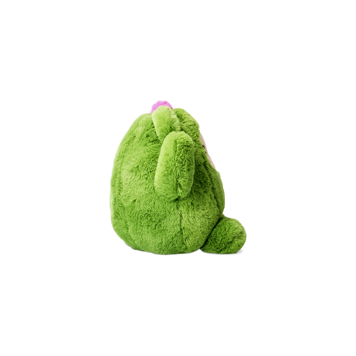 TEDDY BEAR DRESSED AS CACTUS