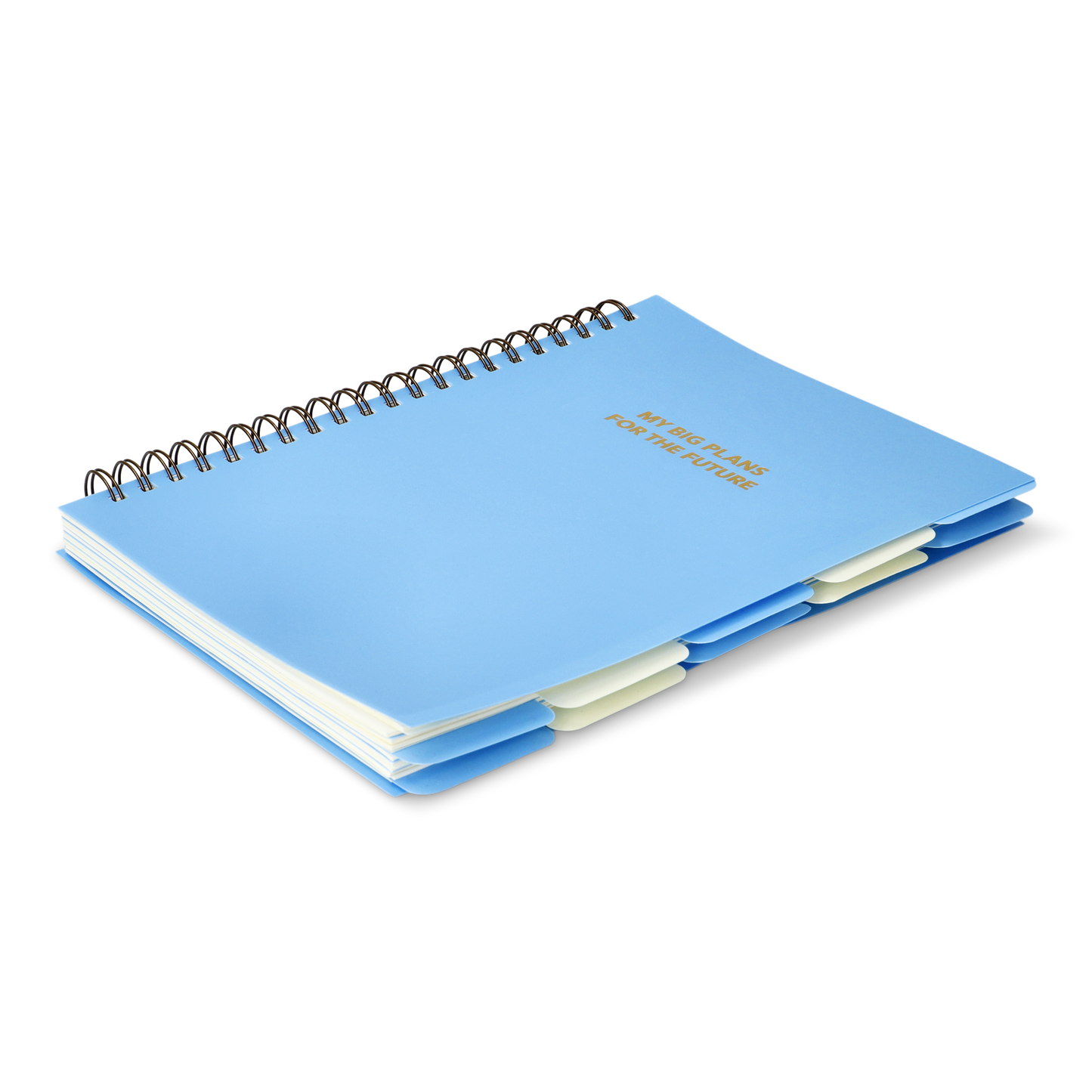 Açık Mavi Sekmeli ve Spiralli Planlayıcı Defter