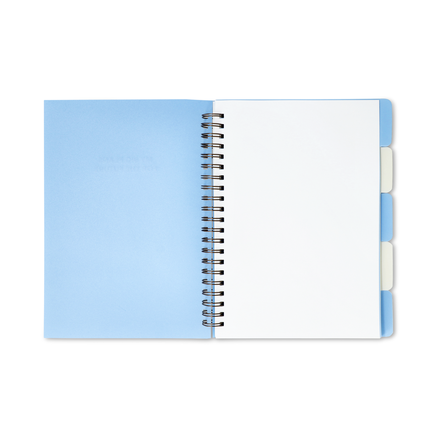 Açık Mavi Sekmeli ve Spiralli Planlayıcı Defter