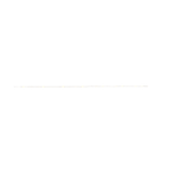 LIGHT CHAIN L: 220 CM 20 LED LIGHTS SILVER
