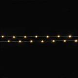 LIGHT CHAIN L: 220 CM 20 LED LIGHTS SILVER