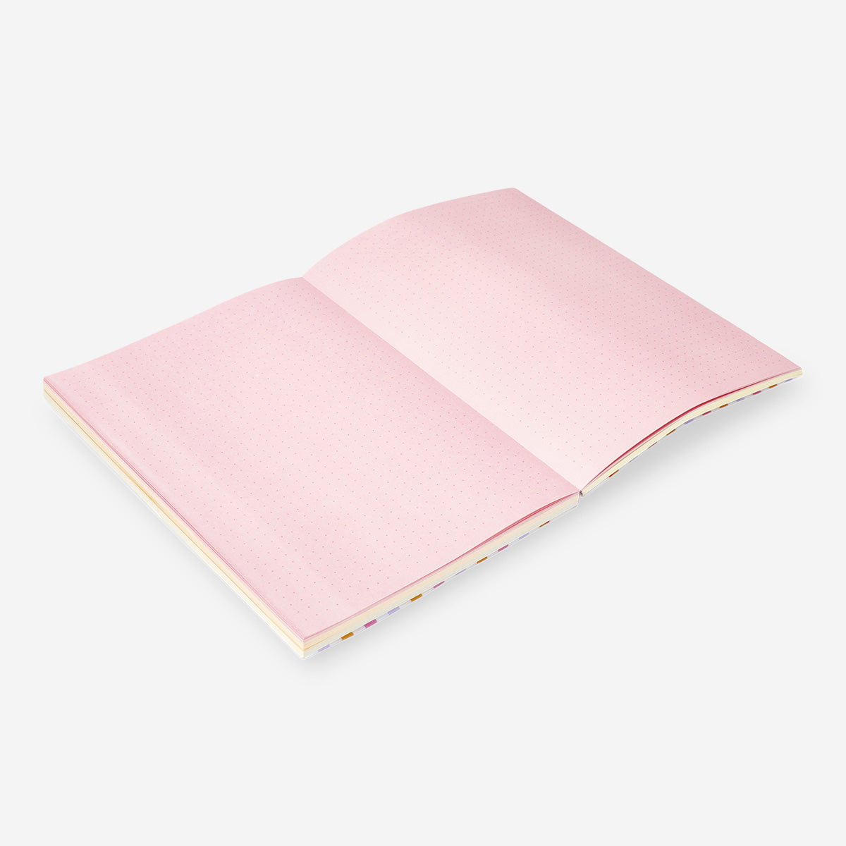 BULLET PLANNER W. COLORED PAGES