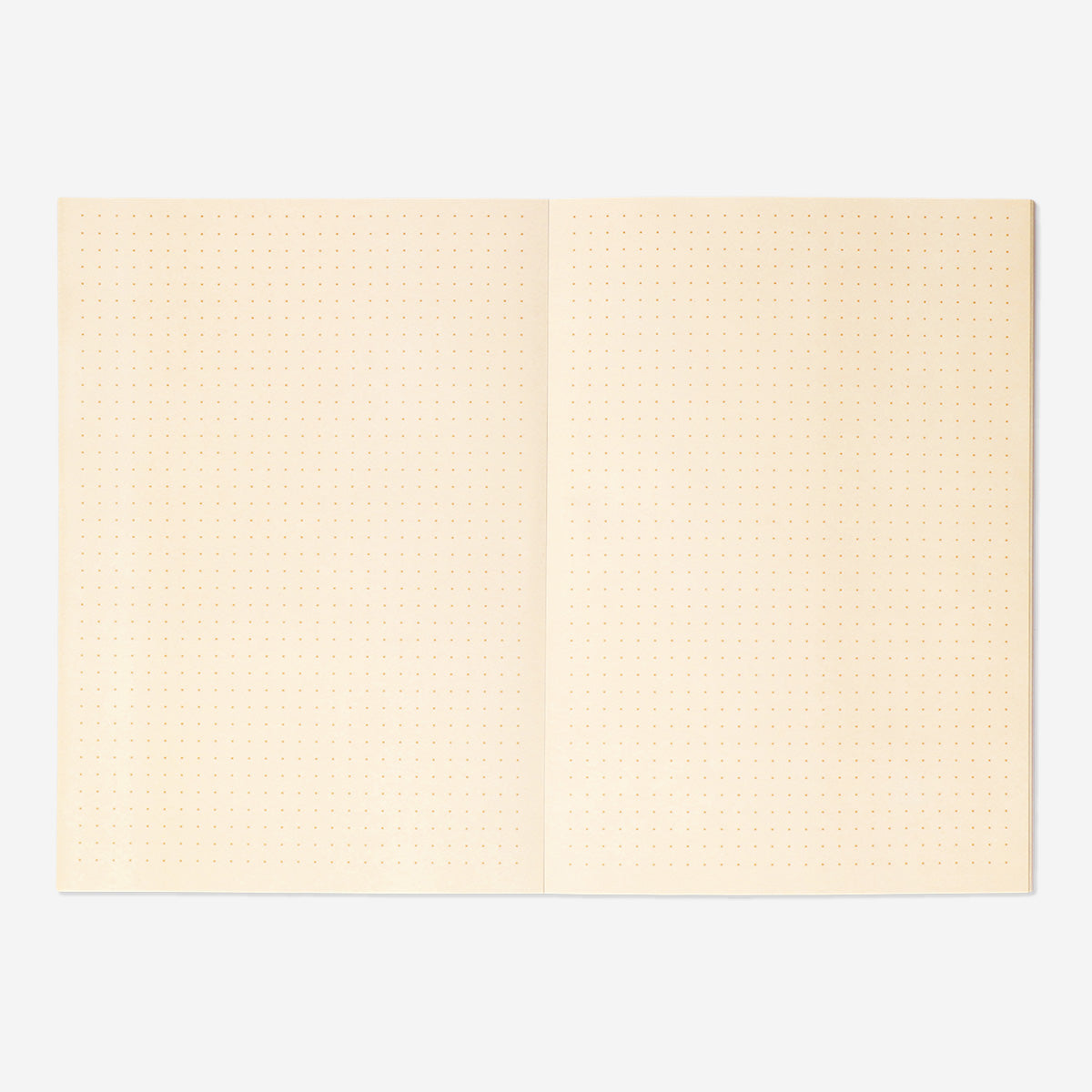 BULLET PLANNER W. COLORED PAGES