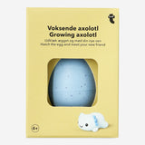 HATCH & GROW EGG AXOLOTL
