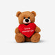 TEDDY WITH VOICE RECORDER VALENTINE