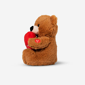 Ses Kaydeden Peluş Ayıcık