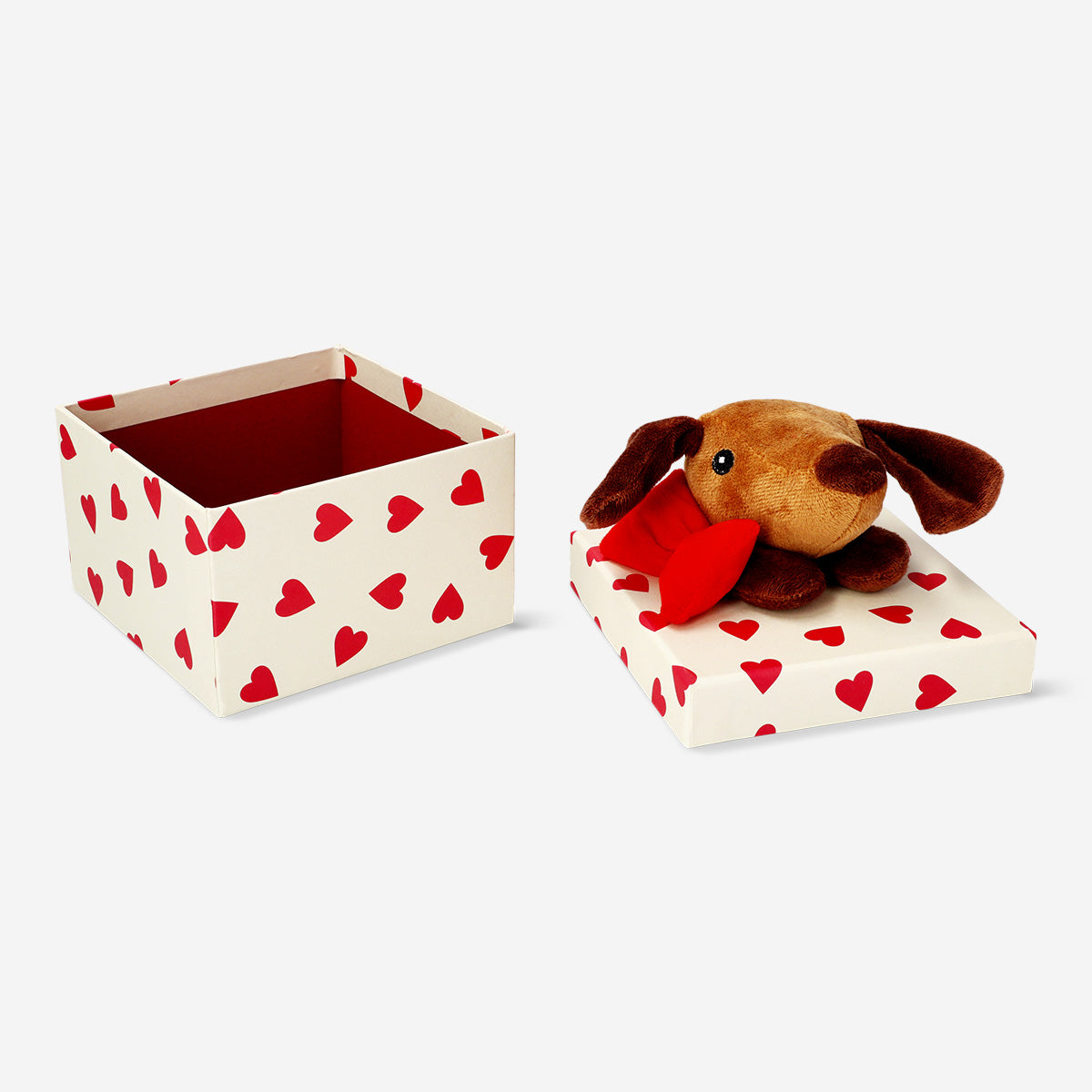 GIFT BOX SAUSAGE DOG