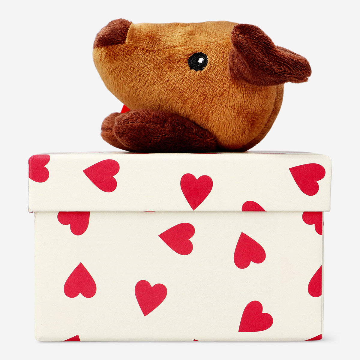 GIFT BOX SAUSAGE DOG
