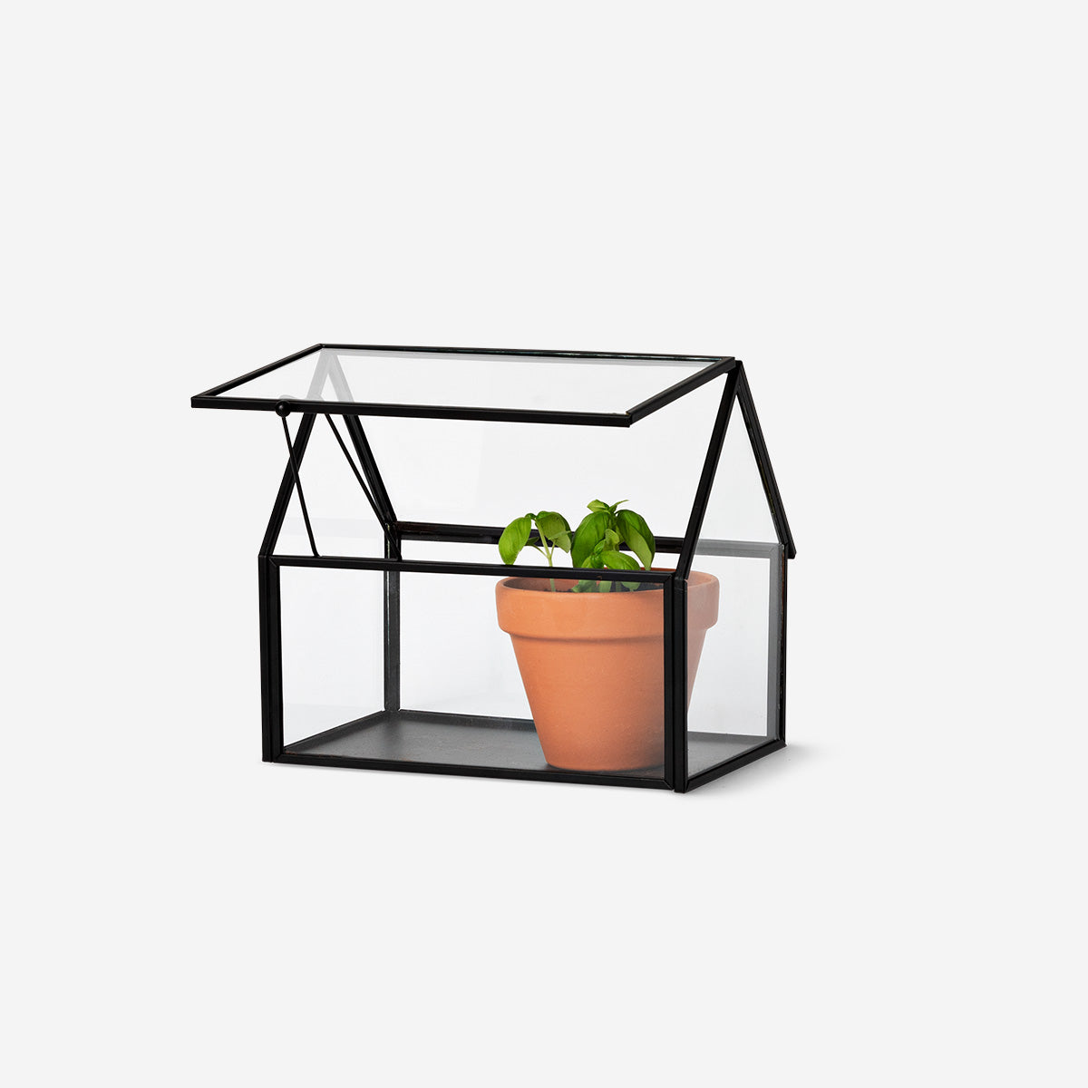 GREENHOUSE MINI IRON
