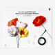 DIY PAPER FLOWER KIT