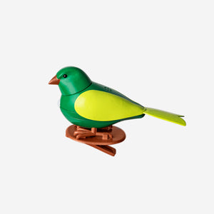 BIRD SINGING MOTION ACTIVATED