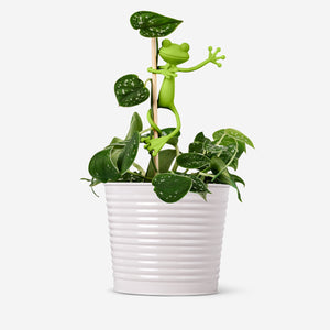 PLANT SUPPORT FROG 2 PCS GREEN MIX