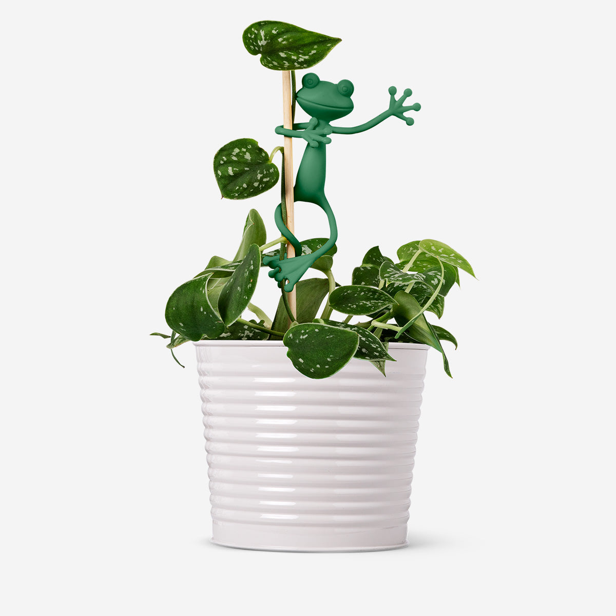 PLANT SUPPORT FROG 2 PCS GREEN MIX