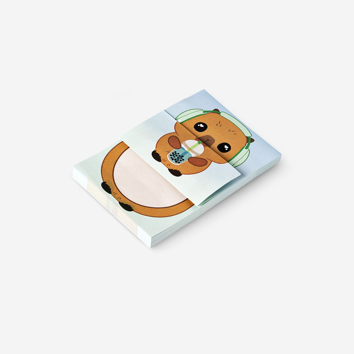 STICKY NOTES SPRING FACES