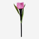 SOLAR LIGHT TULIP PINK