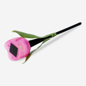 SOLAR LIGHT TULIP PINK