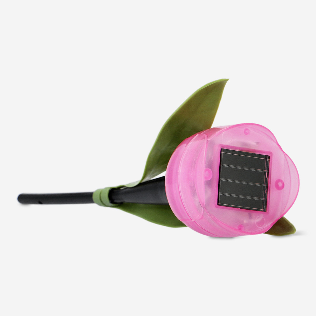 SOLAR LIGHT TULIP PINK