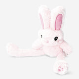 TEDDY BUNNY WITH ADJUSTABLE EARS