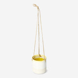 Yeşil Askılı Saksı 11 cm