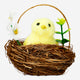 CHICKEN IN NEST YELLOW SMALL