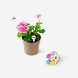 BEE HOLDERS CERAMIC 5 PCS FLOWERS
