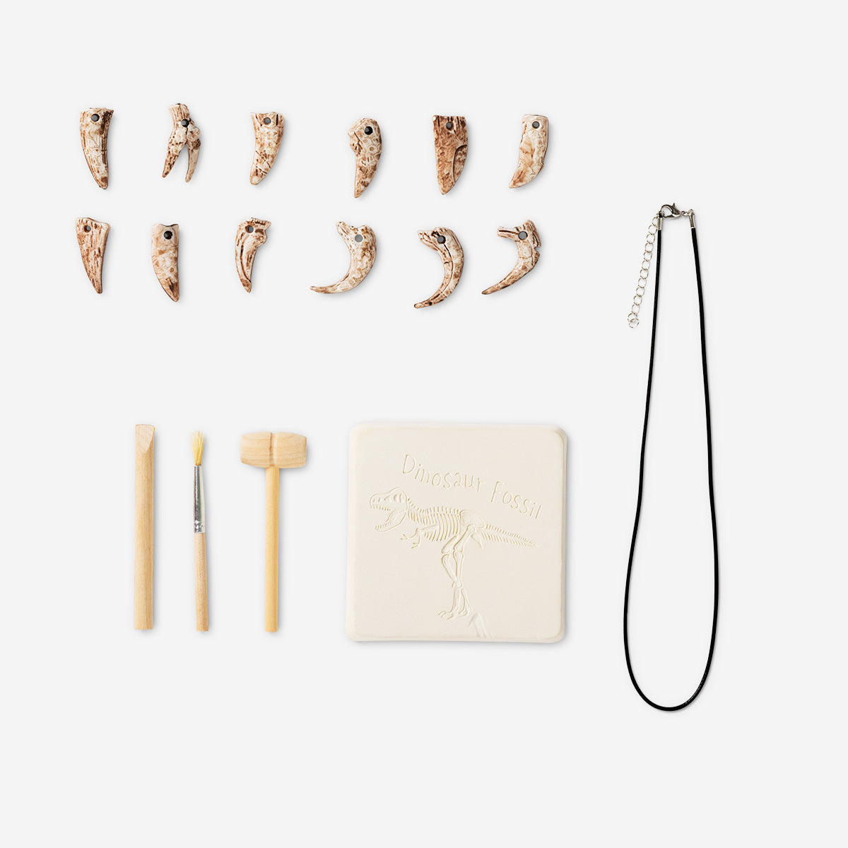 NECKLACE WITH EXCAVATION KIT TEETH