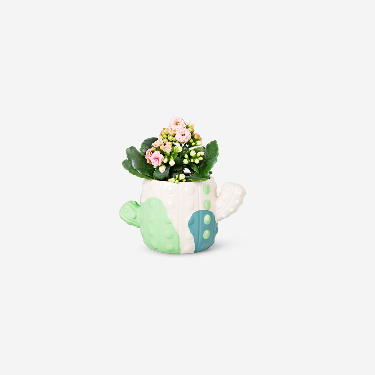 CACTUS VASE PAINT YOUR SELF