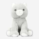 TEDDY CAT