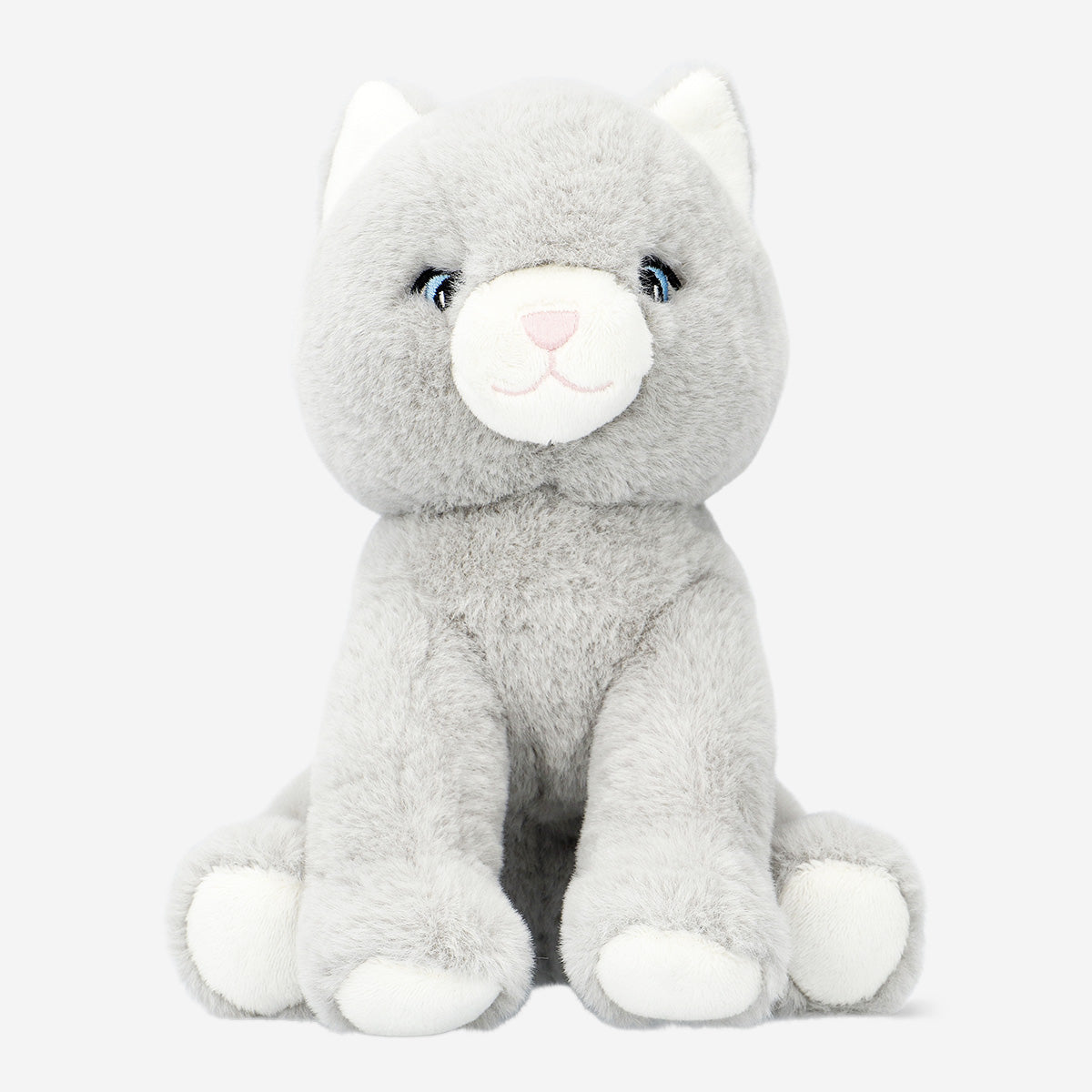 TEDDY CAT