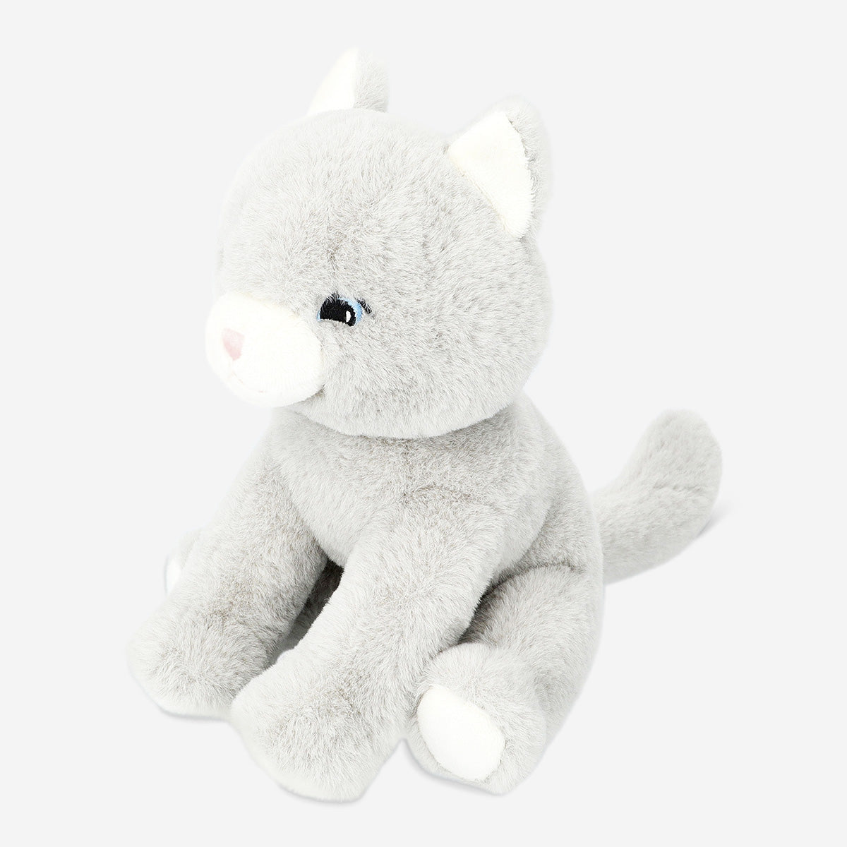TEDDY CAT
