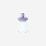 JAR GLASS W CERAMIC CACTUS SHAPED LID
