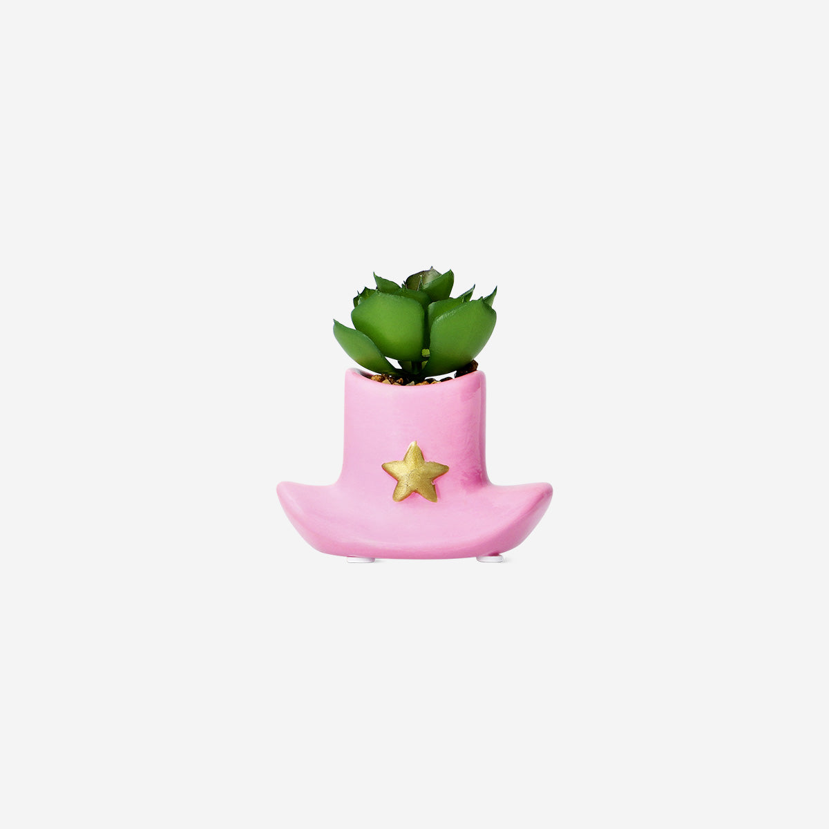 Pembe Kovboy Şapkasında Yapay Bitki