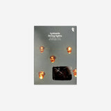 STRING LIGHT ACORN 20 LEDS