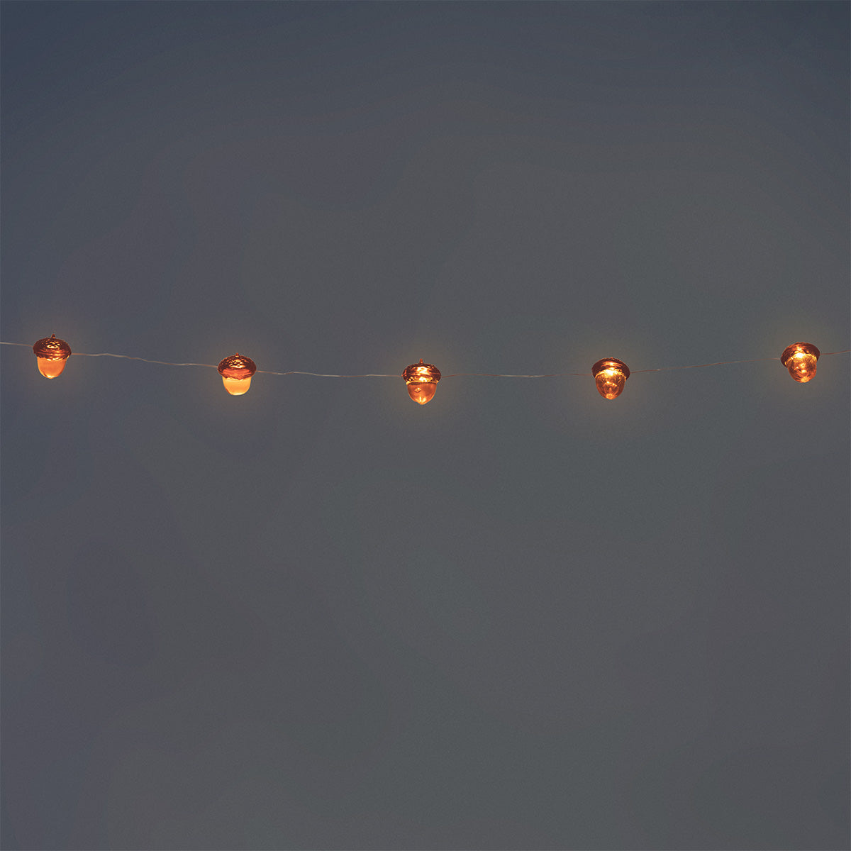 STRING LIGHT ACORN 20 LEDS