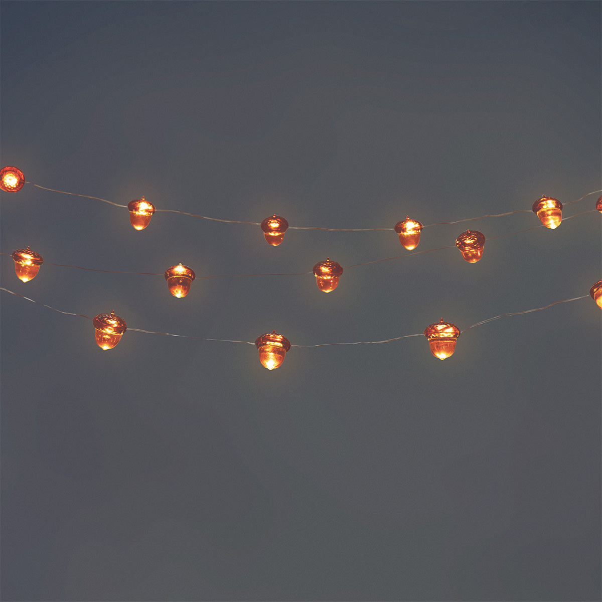 STRING LIGHT ACORN 20 LEDS