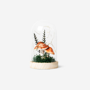 LAMP IN GLASS DOME W SCENERY