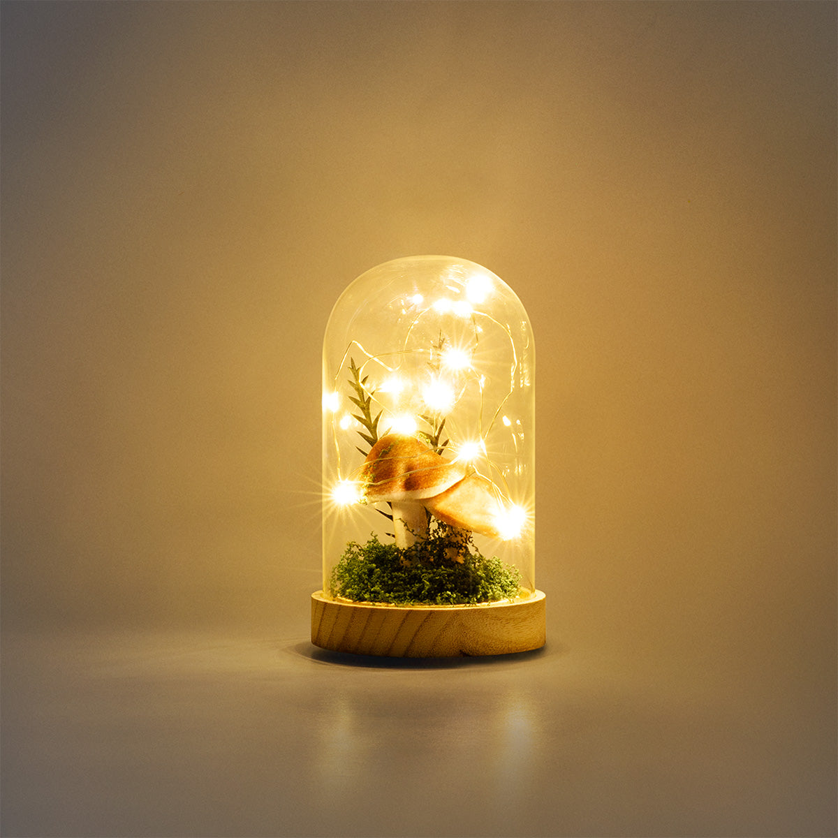 LAMP IN GLASS DOME W SCENERY