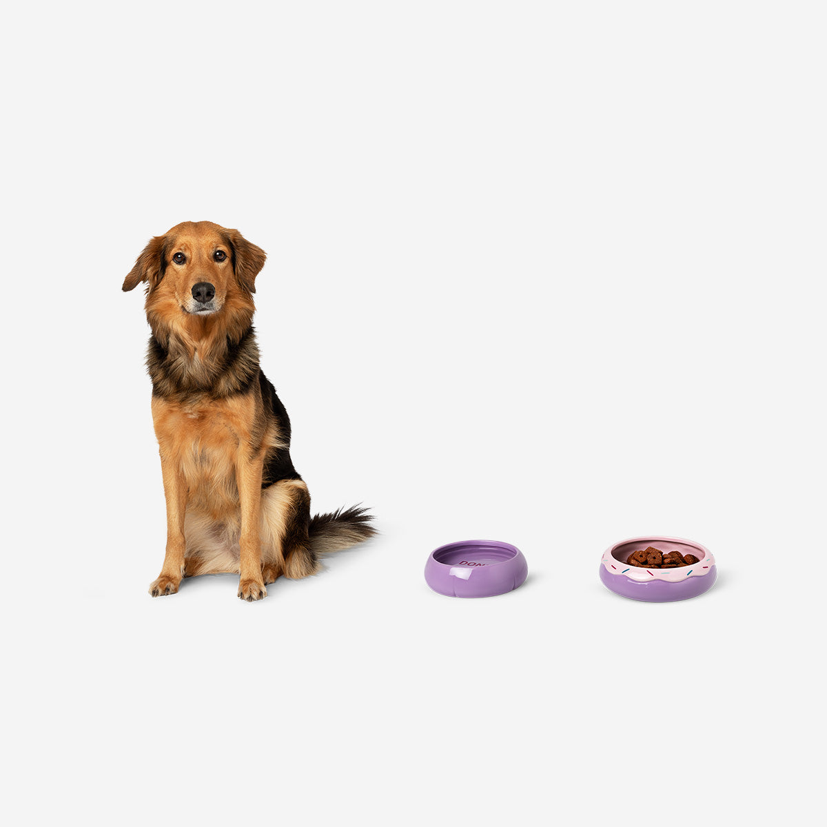 Donut Şeklinde Mama ve Su Kabı