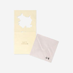 CARD W ENVELOPE FLOWERS EDGE