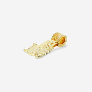 PEN LOOP METAL CAT