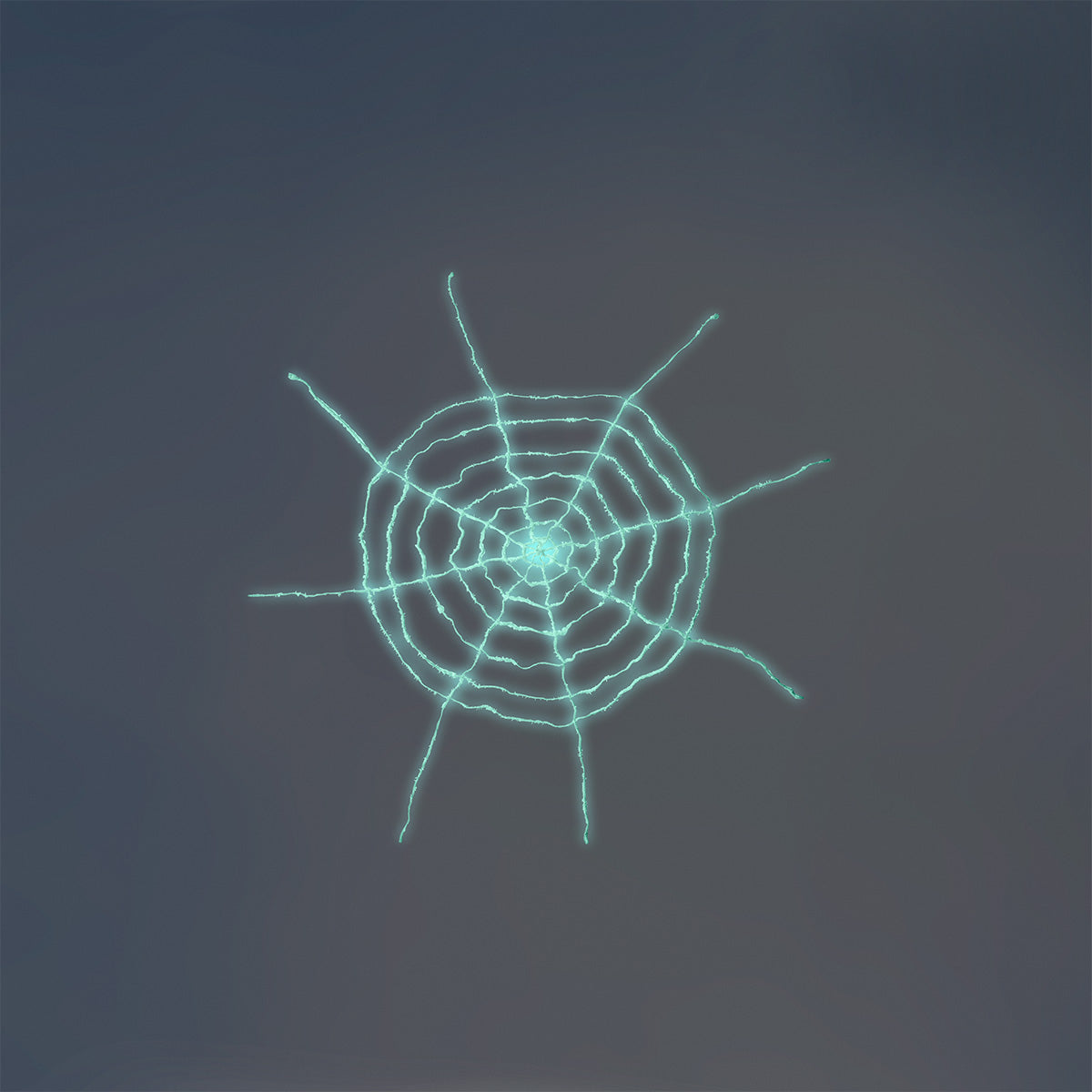 SPIDER WEB GIANT GLOW IN THE DARK