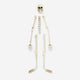 SKELETON BONE SET