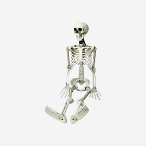 SKELETON DECORATION SET HANGING